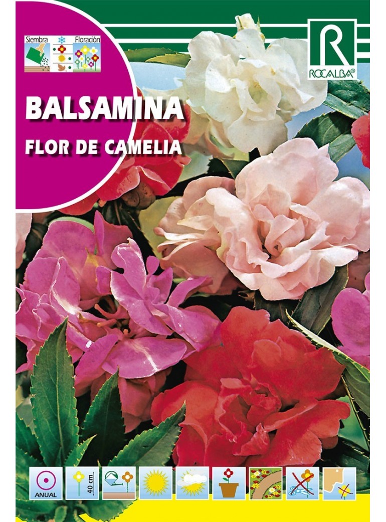 Semilla BALSAMINA FLOR DE CAMELIA, VARIADA