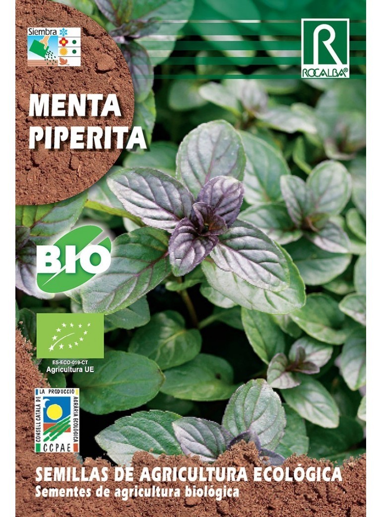 Semilla Coriandro BIO