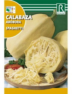 Semilla Calabaza Spaguetti