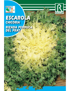 Semilla Col forrajera Asa de Cántaro