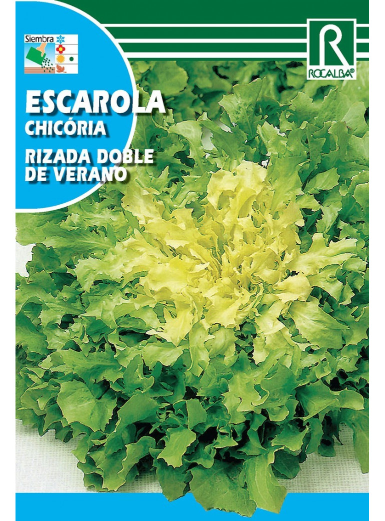 Semilla Col de China